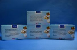 Beta-内酰胺类药物ELISA试剂盒