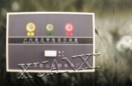 DXN7-T高压带电显示器产品质量保证宣熙