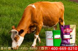 赤乐川犊牛专用饲料厂家