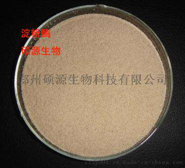 郑州硕源生产淀粉酶的价格，淀粉专用酶价格